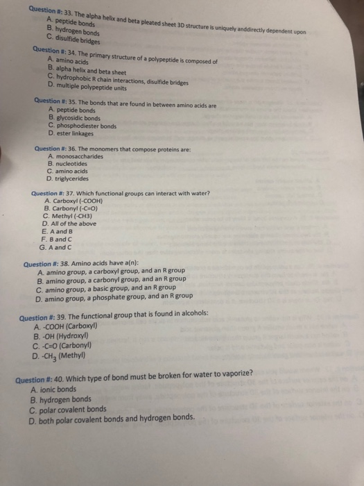 Solved Question The Alpha Helix And Beta Pleated Sheet Chegg Com