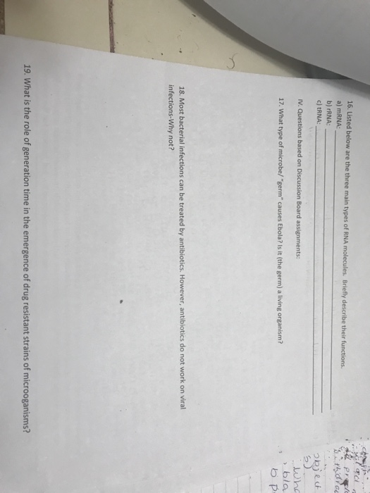 Solved 13. Enzymes are biological catalysts. What is a | Chegg.com