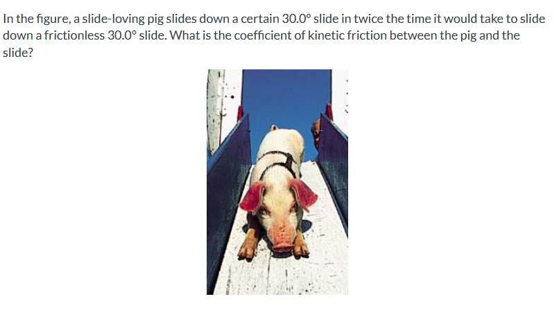 In the figure, a slide-loving pig slides down a certain \( 30.0^{\circ} \) slide in twice the time it would take to slide dow