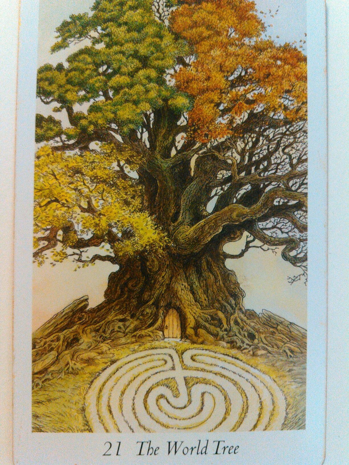 Wildwood Tarot Card Meanings Flashcards Chegg Com