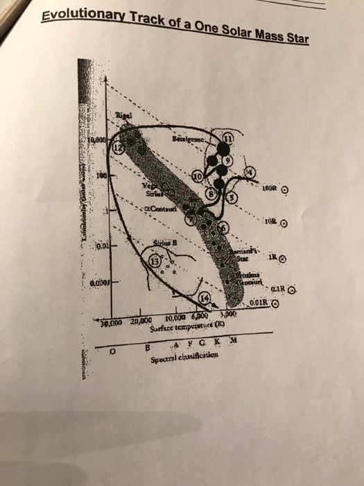 during which phase is the star most likely undergoing | Chegg.com