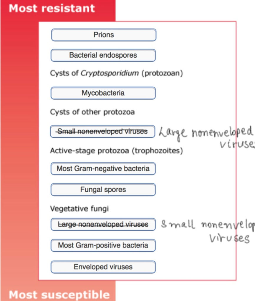 Solved Place The Various Organisms In Order From Most | Chegg.com