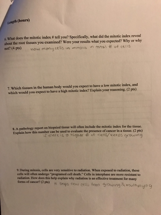 solved-what-does-the-mitotic-index-tell-you-specifically-chegg