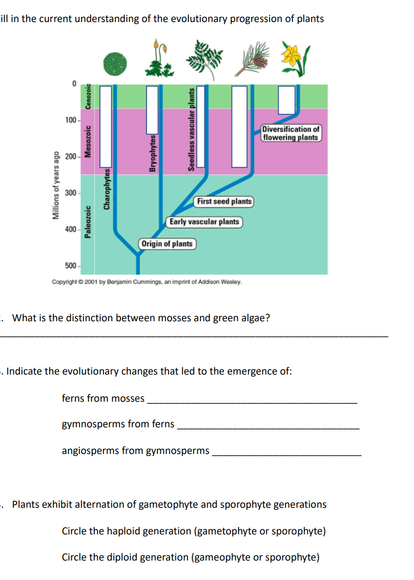 Solved Fill in the current understanding of the evolutionary | Chegg.com