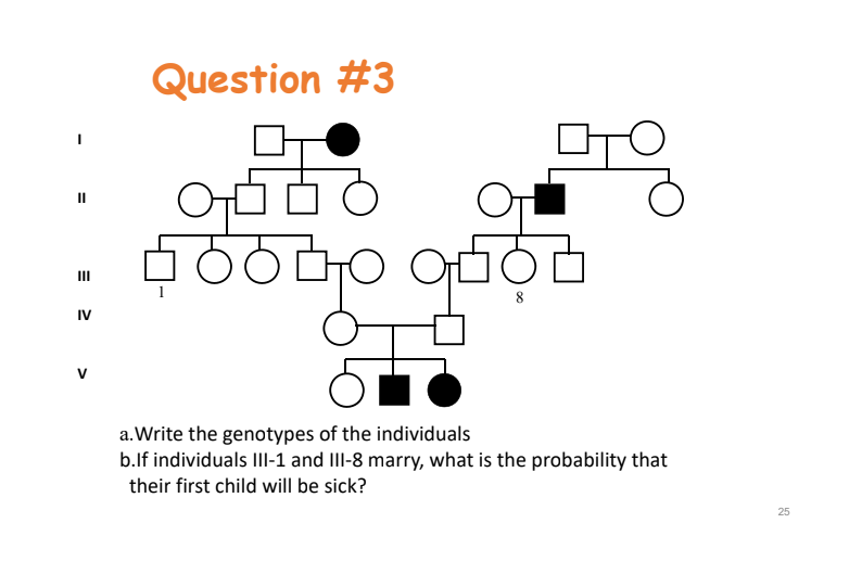 Question \( \# 3 \)
a. Write the genotypes of the individuals
b.If individuals III- 1 and III-8 marry, what is the probabilit