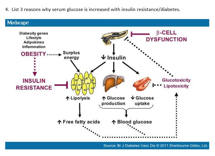 Solved 4. List 3 reasons why serum glucose is increased with | Chegg.com