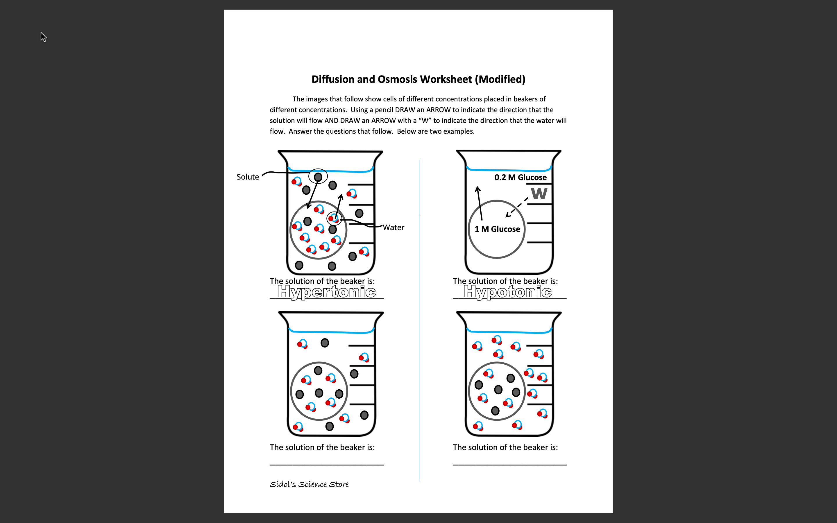Solved Diffusion and Osmosis Worksheet (Modified) The images | Chegg.com