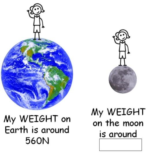 Solved This is Sally. What is Sally's approximate weight on | Chegg.com