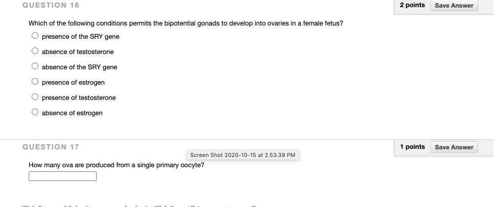 Solved QUESTION 16 2 points Save Answer Which of the | Chegg.com