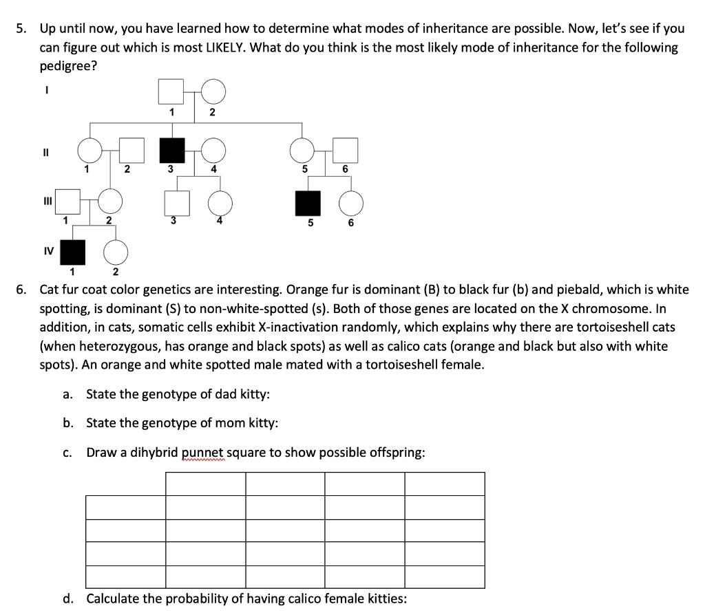 solved-5-up-until-now-you-have-learned-how-to-determi