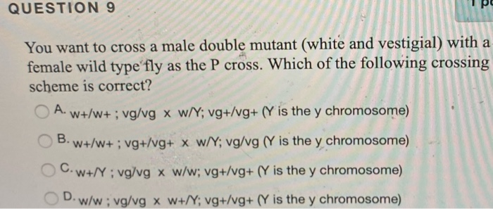Solved Question 9 You Want To Cross A Male Double Mutant Chegg Com
