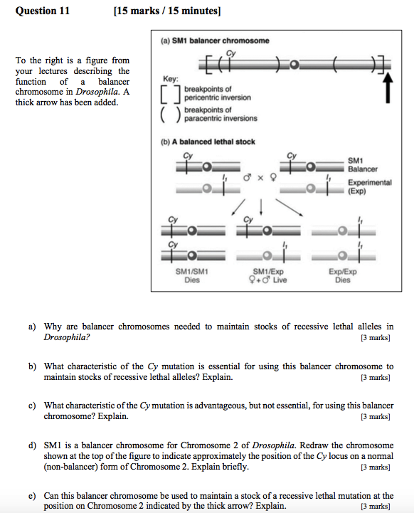 Solved Question 11 [15 marks / 15 minutes] (a) SM1 balancer