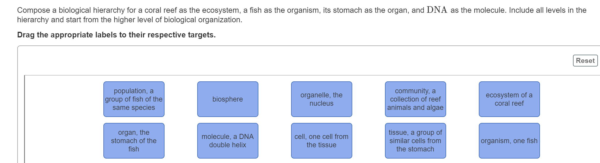 Solved Compose A Biological Hierarchy For A Coral Reef As Chegg Com