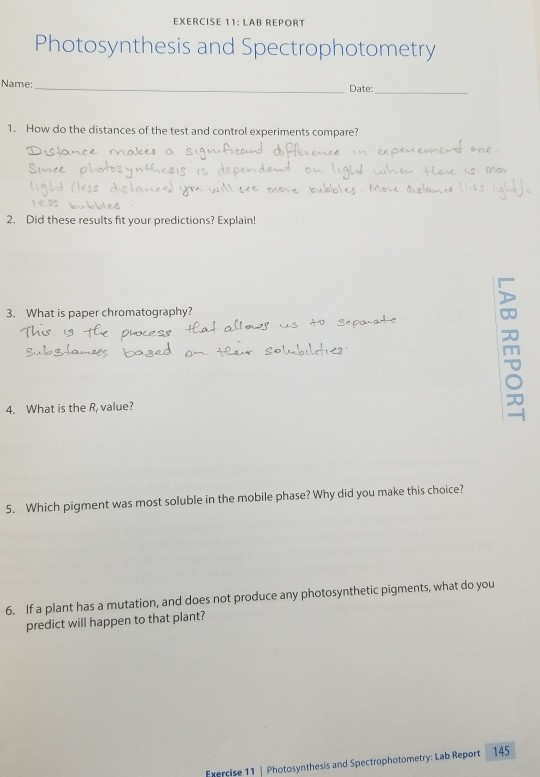 Solved Exercise 11 Lab Report Photosynthesis And Spectro Chegg Com