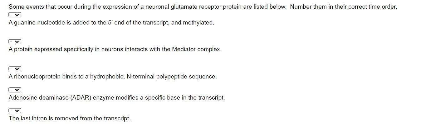 Solved Some Events That Occur During The Expression Of A Chegg