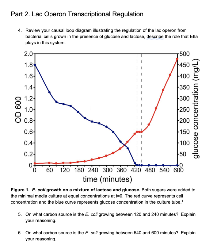 Lac Operon Diagram With Glucose
