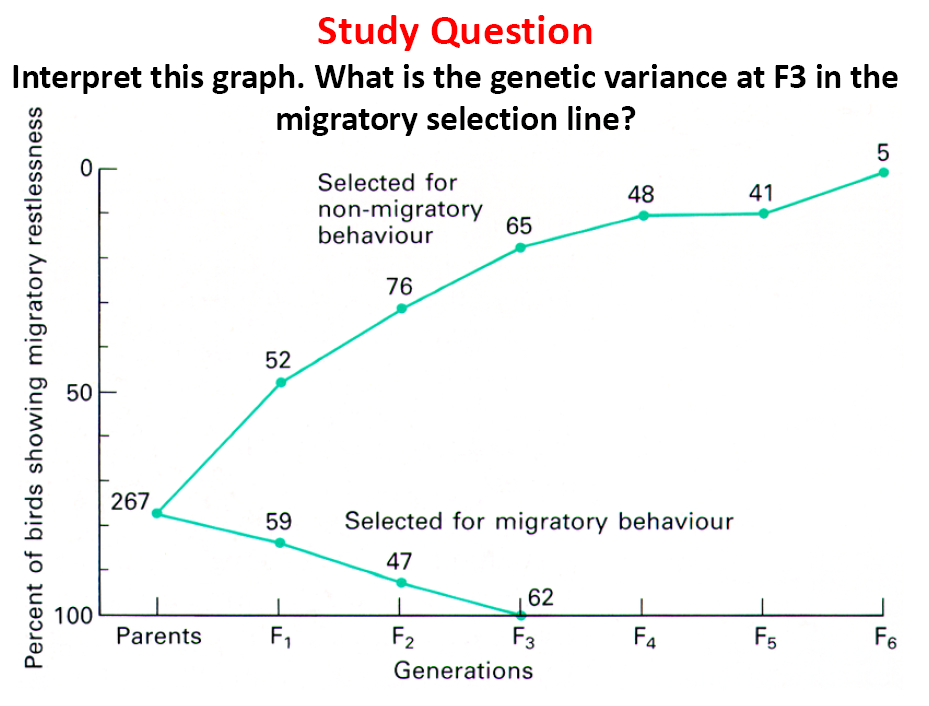 Solved This is an artificial selection graph. In this case, | Chegg.com