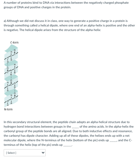 b) A more common way for a protein to bind DNA is to | Chegg.com