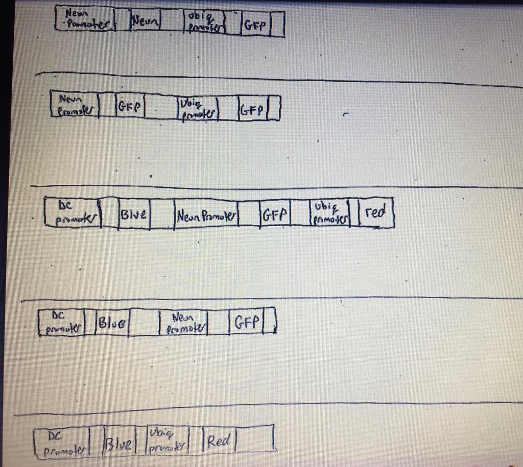 Solved Question 6 Of 8a Researcher Treats A Dna Sample And Or Cheggcom