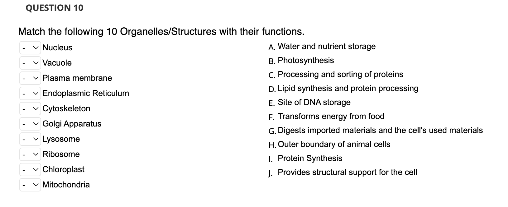 Solved Match The Following 10 Organelles Structures With