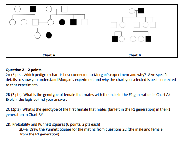 Solved Chart A Chart B Question 2 - 2 points 2A (2 pts). | Chegg.com