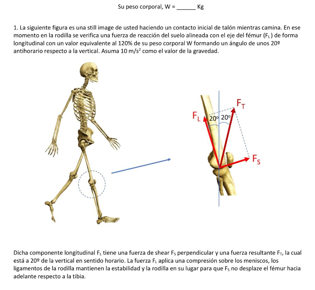 Su peso corporal, \( \mathrm{W}=\quad \mathrm{Kg} \) 1. La siguiente figura es una still image de usted haciendo un contacto