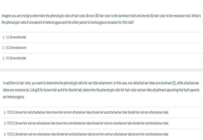 Solved Imagine You Are Trying To Determine The Phenotypic Chegg Com