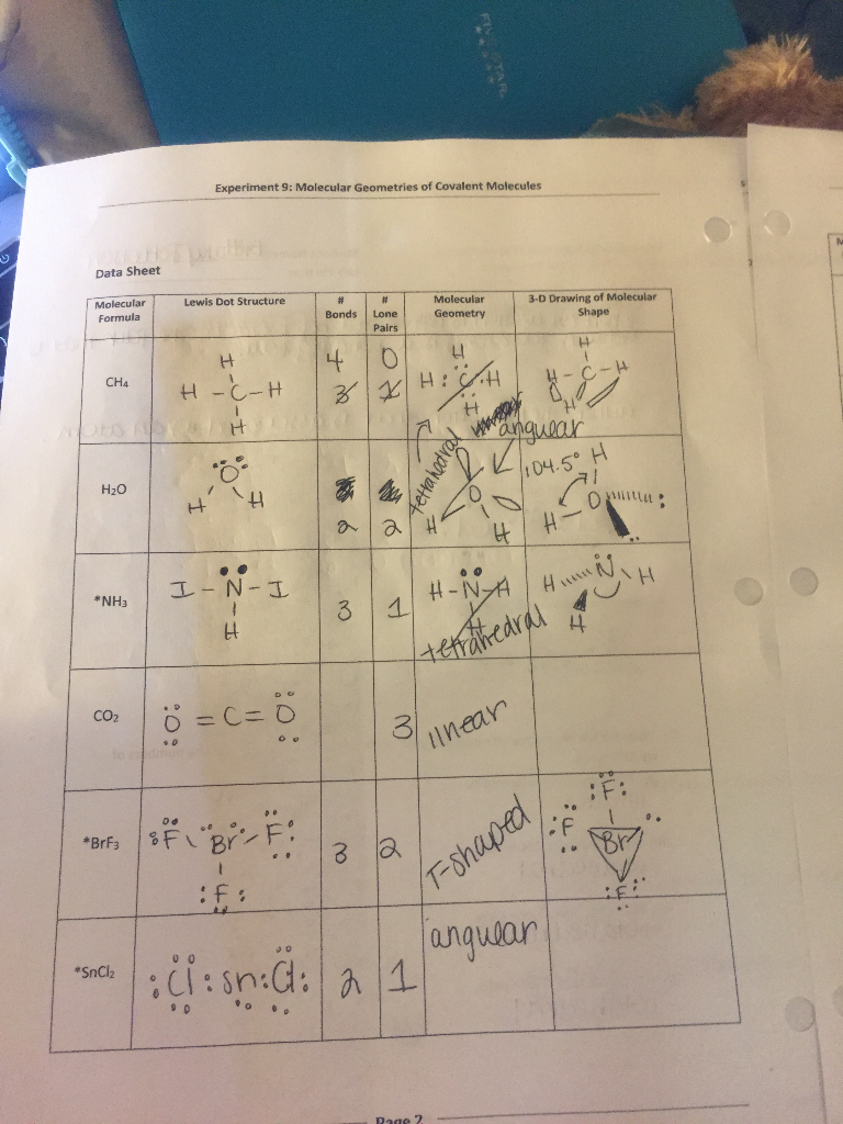 Solved Experiment 9 Molecular Geometries Of Covalent Chegg Com