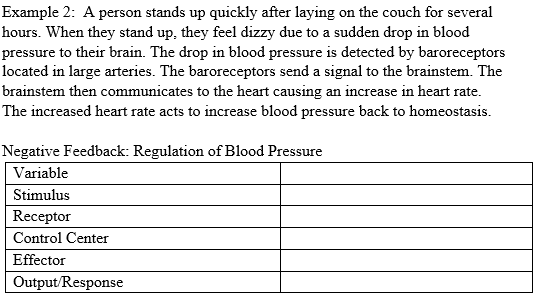 Example 2: A person stands up quickly after laying on the couch for several hours. When they stand up, they feel dizzy due to