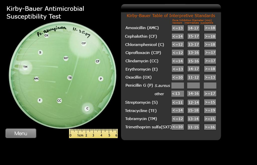 Solved KirbyBauer Antimicrobial Susceptibility Test