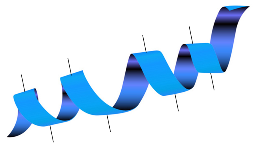 Solved 6 draw an amphipathic alpha helix using the coiled chegg