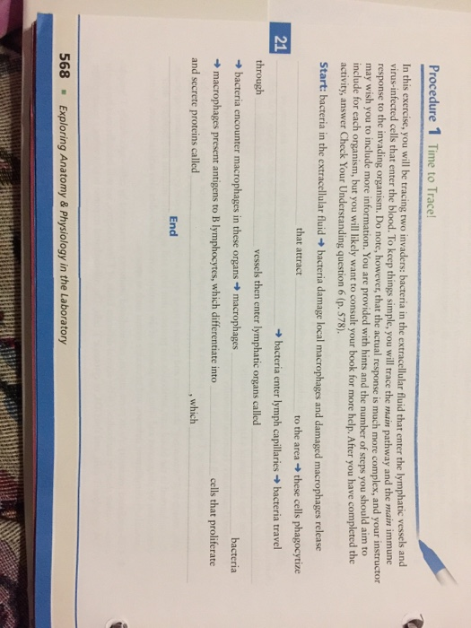 Solved Procedure 1 Time to Trace In this exercise, you will | Chegg.com