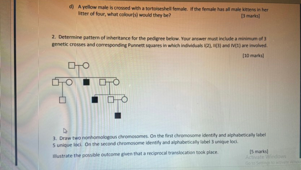 Solved 1) In cats an X-linked pair of alleles B and b | Chegg.com