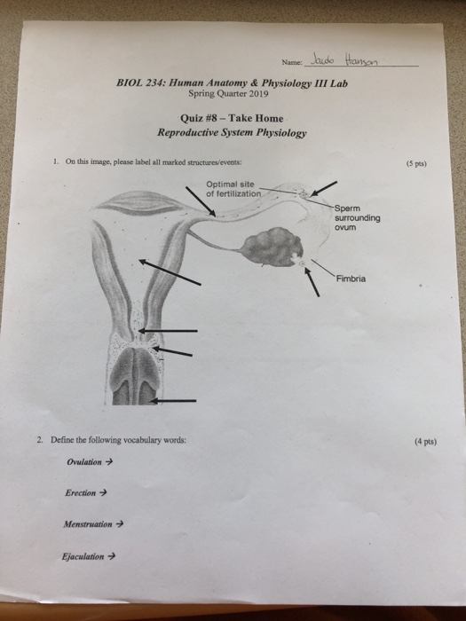 complete anatomy keep surrounding structures complete anatomy keep surrounding structures