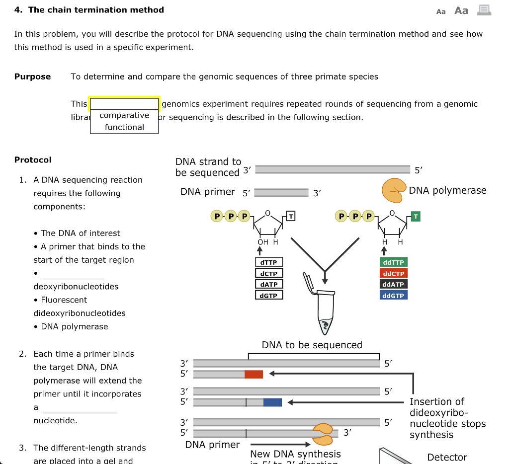 Solved 4. The chain termination method Aa Aa In this