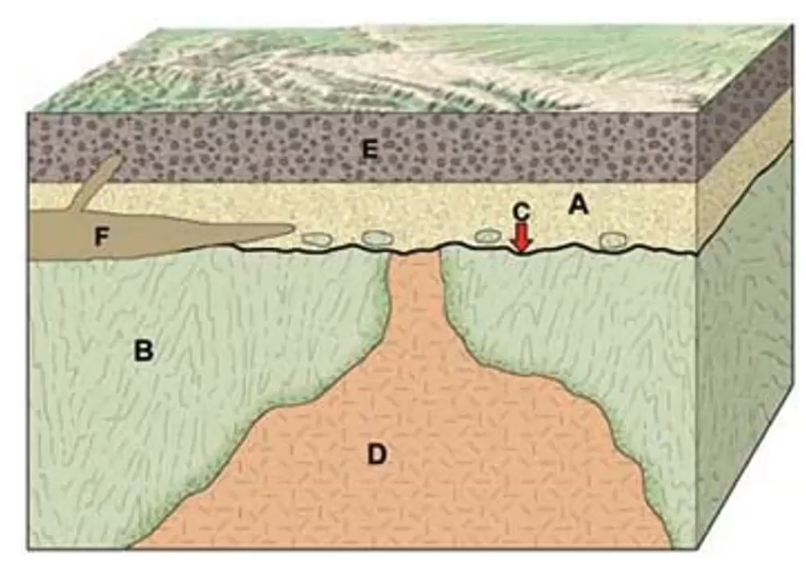 Solved Describe the sequence of geological events that took | Chegg.com