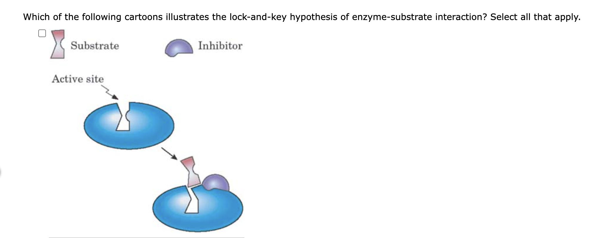 Solved Which of the following cartoons illustrates the