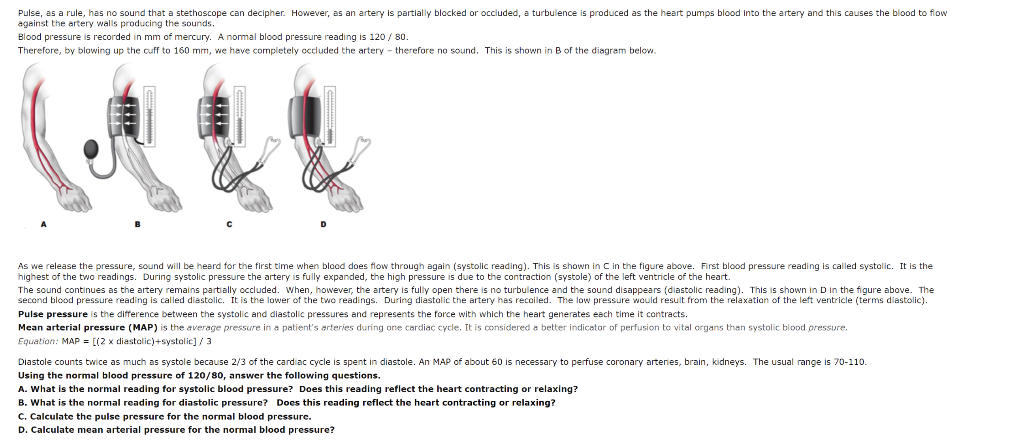 Solved Pulse As A Rule Has No Sound That A Stethoscope Chegg Com