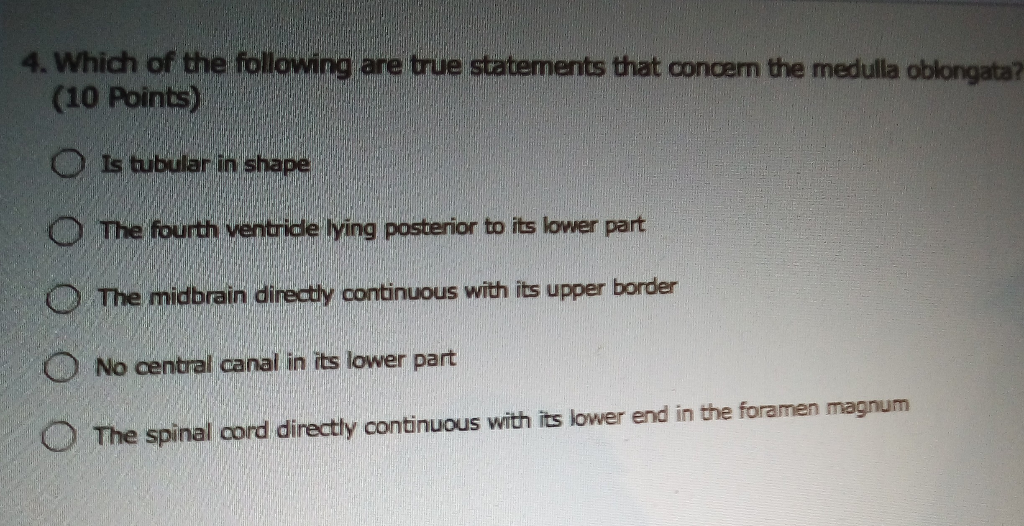 Solved 2. Which Of The Following Are True Statements That | Chegg.com Solved 2. Which Of The Following Are True Statements That | Chegg.com