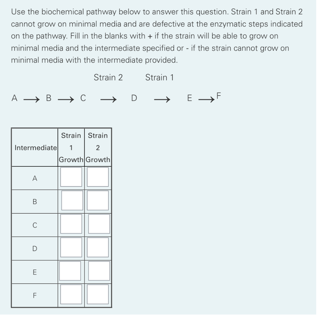 Solved Use The Biochemical Pathway Below To Answer This | Chegg.com