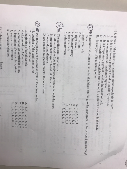 Solved 18. Which of the following statements about myoglobin | Chegg.com