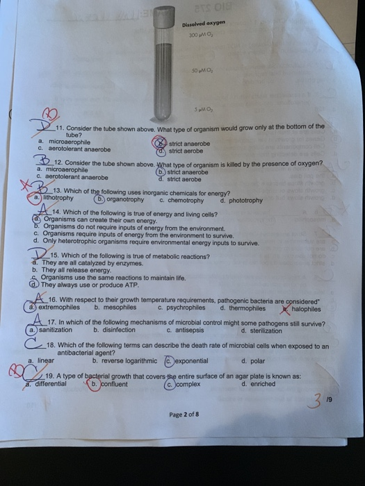 Solved correct the ones marked wrong, and explain why they | Chegg.com