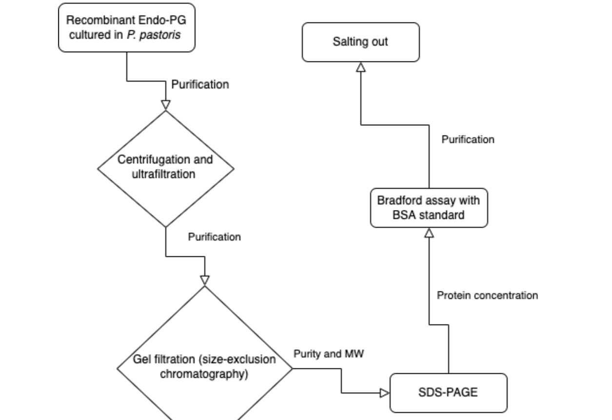 Solved Using the flowchart above for reference, provide a | Chegg.com