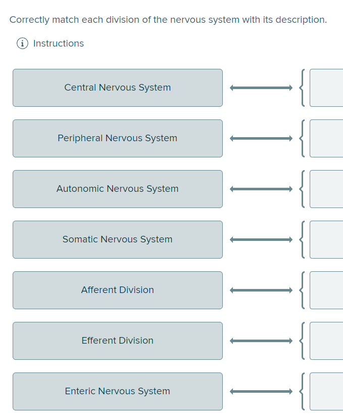 Solved Correctly match each division of the nervous system | Chegg.com