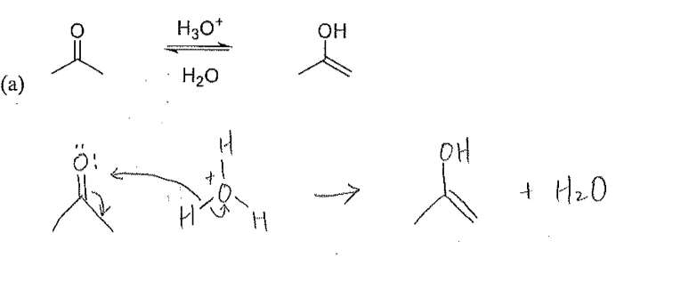 Solved (a) H2OH3O+ → +H2O | Chegg.com