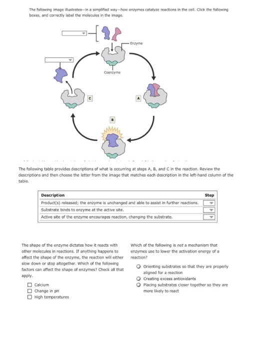 Biology Archive March 17, 2018