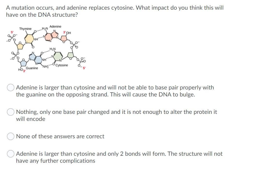 Solved A mutation occurs, and adenine replaces cytosine. | Chegg.com