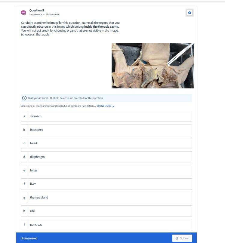 Question Tray Scalpel Probe INTRODUCTION Fetal Pigs, The Fetuses Of A