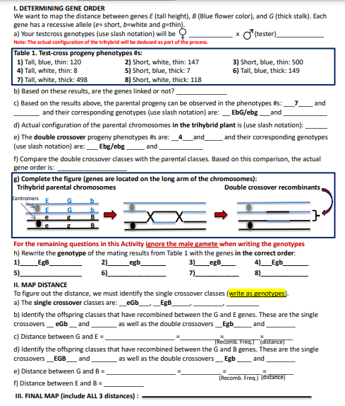 Solved I. DETERMINING GENE ORDERWe want to map the distance | Chegg.com