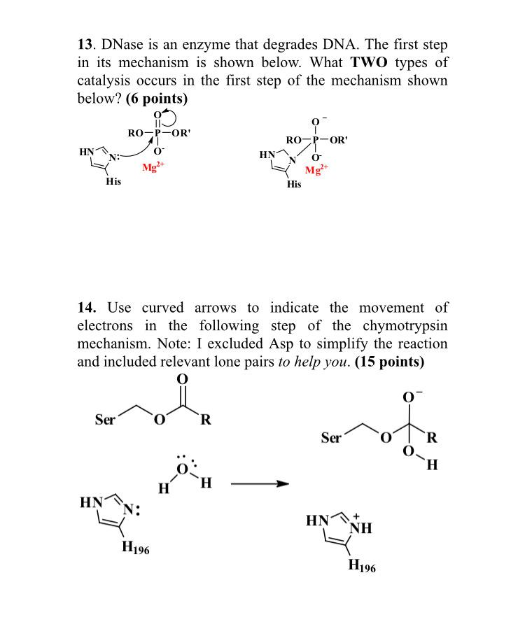 Deoxyribonuclease I Worthington Enzyme Manual Worthington 43 Off 1089